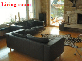 Zentral-CH 3,5-Zimmer-Wohnung-Wohnzimmer02