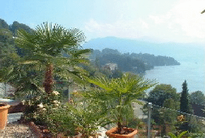 Zentral-CH 3,5-Zimmer-Wohnung