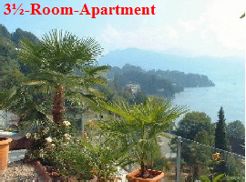 Zentral-CH 3,5-Zimmer-Wohnung02