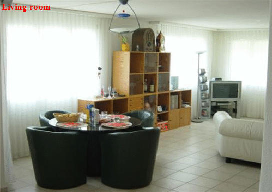 Zentral-CH 3,5-Zimmer-Wohnung am See-Wohnzimmer02