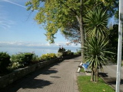 Walkway nearby the lake