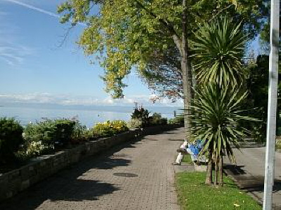 Walkway nearby the lake