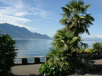 Lake Geneva